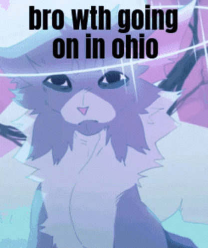 a drawing of a cat with the words bro with going on in ohio