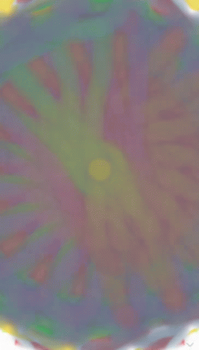 A Drawing Of A Circle With Lines Around It GIF