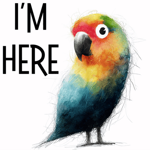 A Drawing Of A Colorful Parrot With The Words " I 'M Here " Below It GIF
