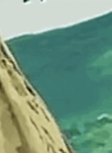 A Drawing Of A Crab Laying On A Beach GIF