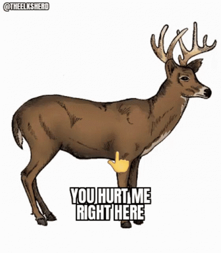 A Drawing Of A Deer With The Words " You Hurt Me Right Here " On It GIF