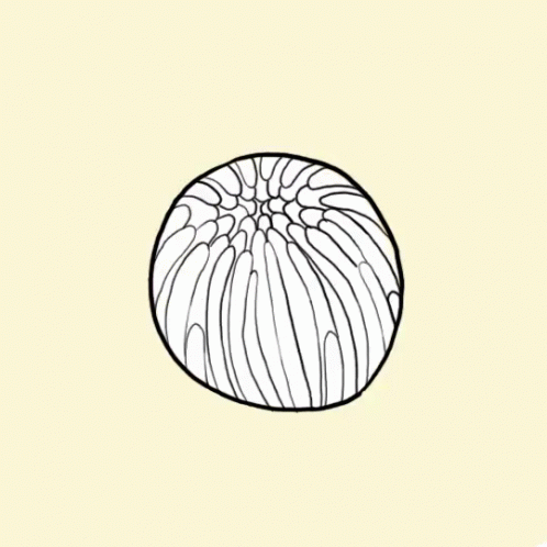 A Drawing Of A Flower With A Face In The Center . GIF