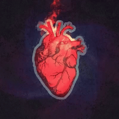 A Drawing Of A Human Heart On A Dark Background GIF