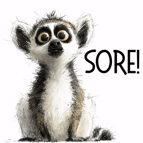 A Drawing Of A Lemur With The Words Sore Written Below It GIF