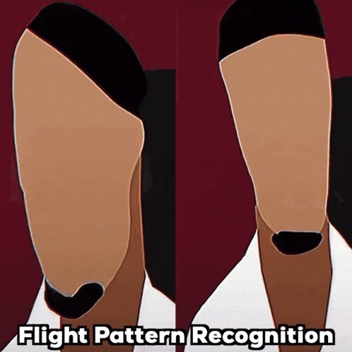 A Drawing Of A Man 'S Face And The Words Flight Pattern Recognition Below It GIF