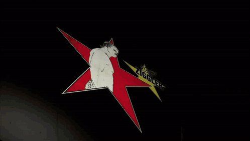 A Drawing Of A Man Standing In Front Of A Star That Says " Ziggler " GIF