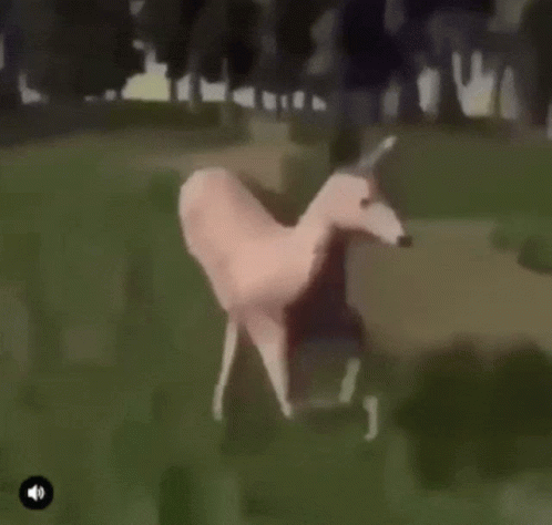 A Drawing Of A Person Riding A Horse In A Field With Trees In The Background GIF
