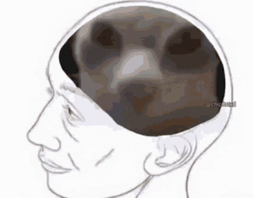 A Drawing Of A Person 'S Head With A Picture Of A Dog Inside Of It GIF