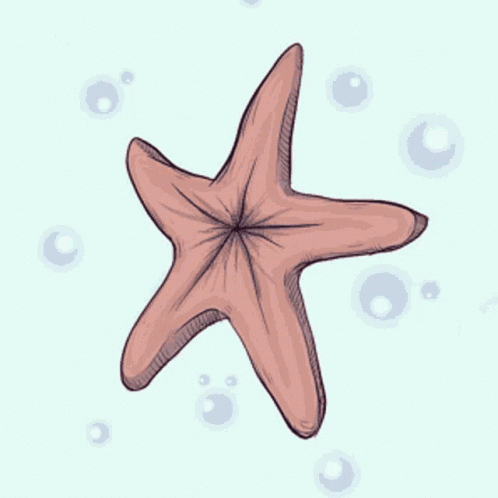 A Drawing Of A Pink Starfish On A White Background GIF