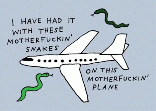 A Drawing Of A Plane With The Words " I Have Had It With These Mother Fuckin ' Snakes " GIF