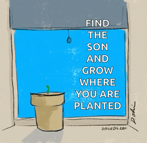 A Drawing Of A Plant In A Pot With The Words Find The Son And Grow Where You Are Planted GIF