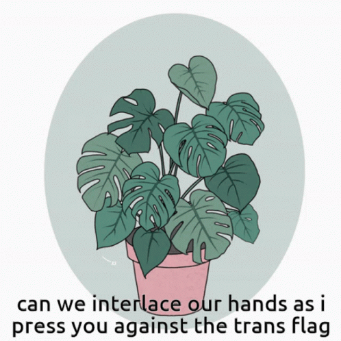 A Drawing Of A Plant With The Words Can We Interface Our Hands As I Press You Against The Trans Flag GIF
