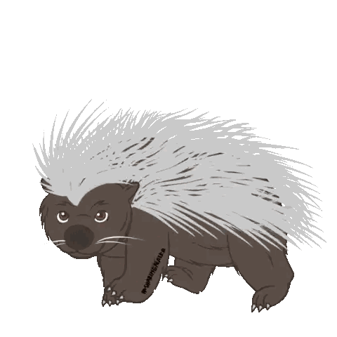 a drawing of a porcupine with the word porcupine written on the bottom