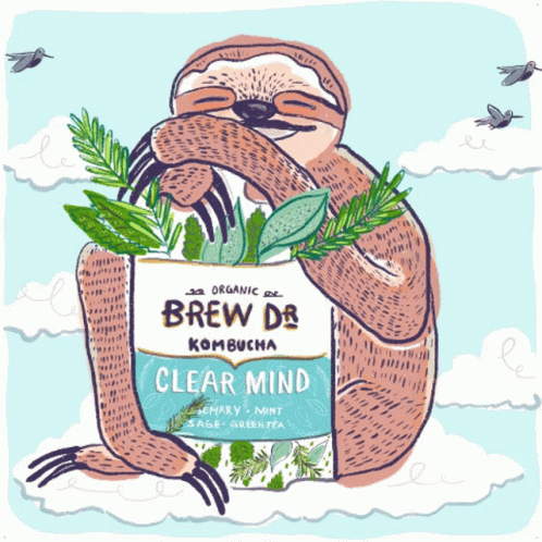 A Drawing Of A Sloth Holding A Bag Of Kombucha GIF