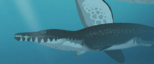 a drawing of a whale with a large mouth