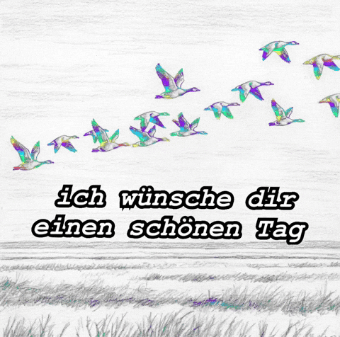 A Drawing Of Ducks Flying Over A Field With The Words Ich Wünsche Dir Einen Schönen Tag Below Them GIF