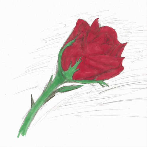 A Drawing Of Red Roses With Green Stems GIF