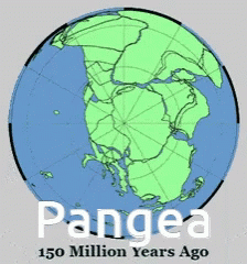 A Drawing Of The Earth With The Words Pangea 100 Million Years Ago GIF
