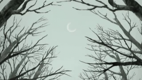 A Drawing Of Trees With A Crescent Moon In The Sky GIF