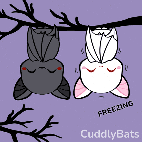 A Drawing Of Two Bats Hanging Upside Down With The Words Cuddly Bats Written Below Them GIF