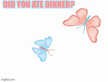 A Drawing Of Two Butterflies With The Words Did You Ate Dinner Above Them GIF
