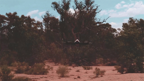 A Drone Is Flying Over A Desert Landscape With Trees And Bushes GIF