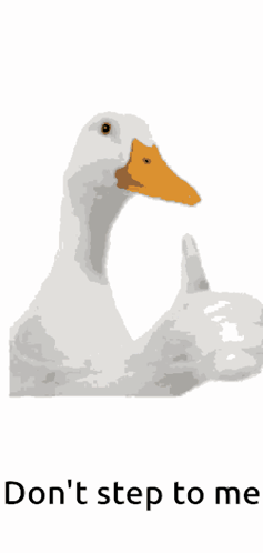 A Duck Giving A Thumbs Up With The Words " Do N't Step To Me " Underneath It GIF