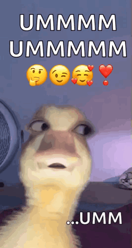 A Duck Is Making A Funny Face And Says Ummm Ummm Umm GIF