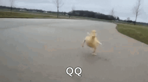A Duck Is Running Down A Road . GIF