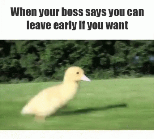 A Duck Is Running In A Field With The Caption When Your Boss Says You Can Leave Early If You Want .. GIF