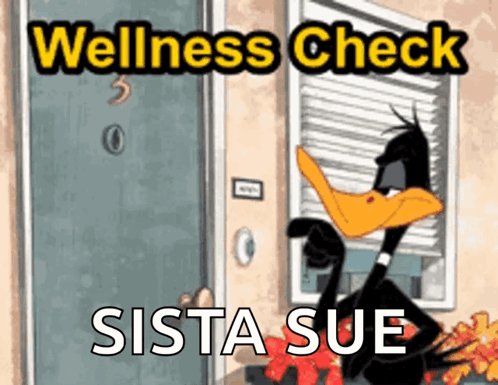 A Duck Is Standing In Front Of A Door With The Words Wellness Check Sista Sue On It GIF