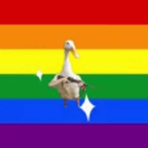 a duck is standing in front of a rainbow flag with a sparkle .
