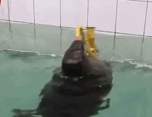 A Duck Is Swimming In A Pool With A Yellow Hose Attached To It 'S Head . GIF