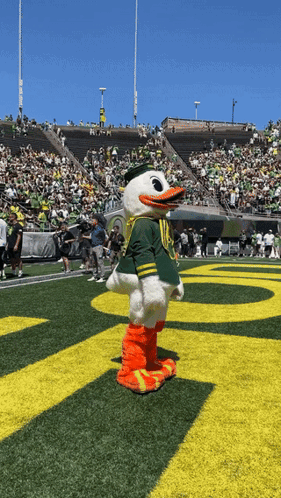A Duck Mascot Stands On A Field In Front Of A Stadium Full Of People GIF