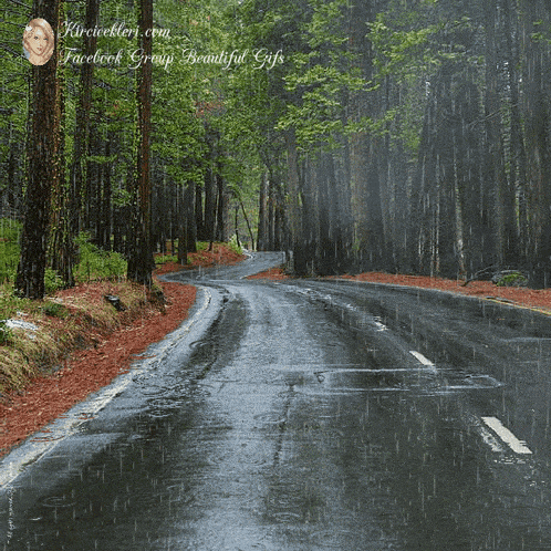 A Facebook Group Called Facebook Group Beautiful Gifs Has A Picture Of A Rainy Road GIF
