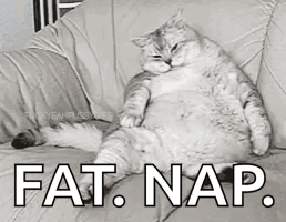 A Fat Cat Is Sitting On A Couch With The Words Fat Nap Written On It . GIF
