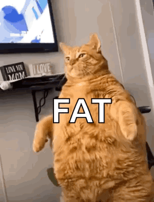 A Fat Orange Cat Is Standing On Its Hind Legs In Front Of A Television . GIF