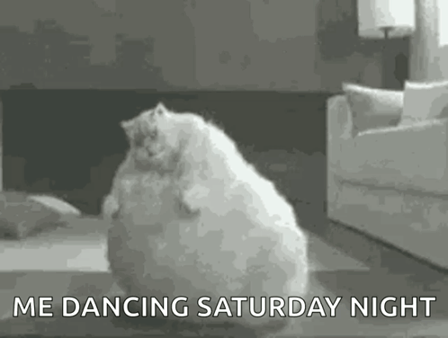 A Fat White Cat Is Dancing In A Living Room With The Words `` Me Dancing Saturday Night '' . GIF