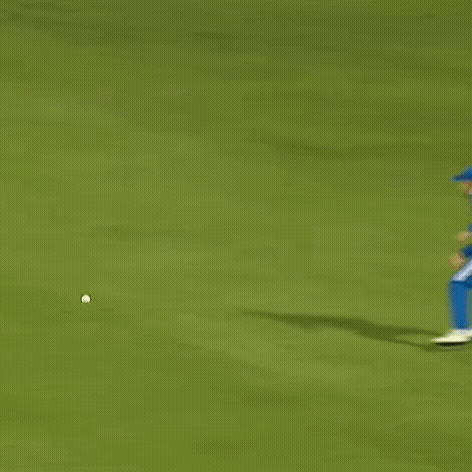 A Female Cricket Player In A Blue Uniform Is Running On The Field . GIF