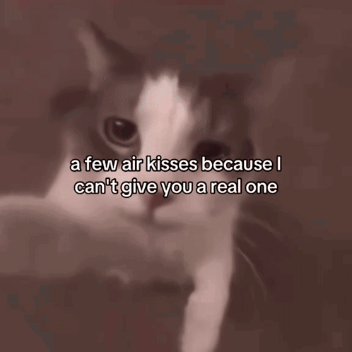A Few Air Kisses Because I Can 'T Give You A Real One Written On A Cat 'S Face GIF