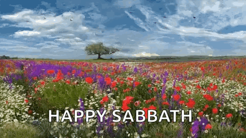 A Field Of Flowers With A Tree In The Background And The Words Happy Sabbath GIF