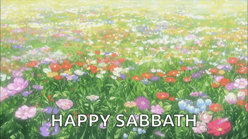 A Field Of Flowers With The Words Happy Sabbath Written On It GIF