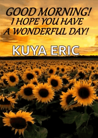 A Field Of Sunflowers With The Words `` Good Morning , I Hope You Have A Wonderful Day ! '' GIF