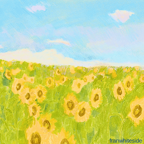 A Field Of Sunflowers With The Words Good Morning Sunshine GIF