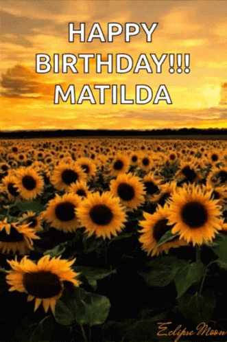 A Field Of Sunflowers With The Words Happy Birthday Matilda Written On The Bottom GIF