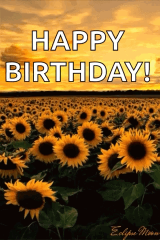 A Field Of Sunflowers With The Words Happy Birthday On It GIF