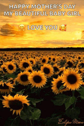 A Field Of Sunflowers With The Words Happy Mother 'S Day My Beautiful Baby Girl Love You . GIF