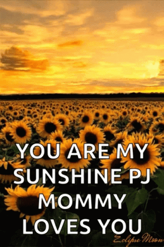 A Field Of Sunflowers With The Words " You Are My Sunshine Pj Mommy Loves You " On It GIF