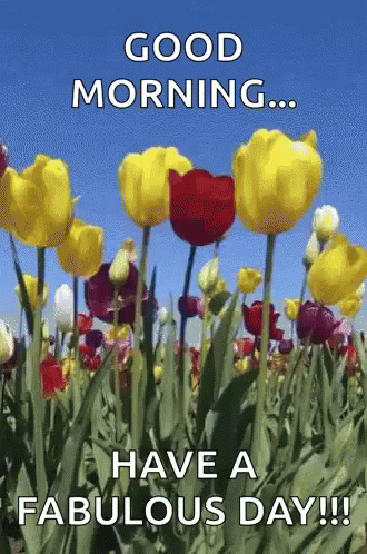 A Field Of Yellow And Red Flowers With The Words Good Morning Have A Fabulous Day GIF