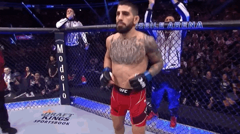 A Fighter In A Cage With A Banner That Says Mobile Arena On It GIF